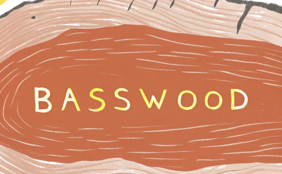Basswood