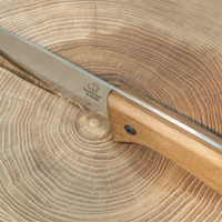 Bushcraft Knife for Camping & Outdoor – Carbon Steel Knife with Walnut Handle & Leather Sheath – BSH2 Glacier
