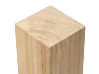 Set of Elm Carving Blocks for Wood Carving – 10 pcs – BW10 Elm